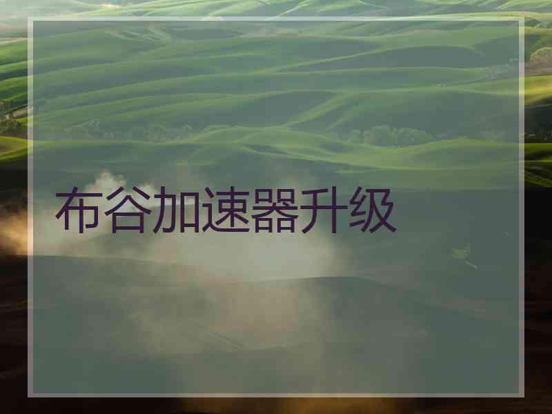 布谷加速器升级