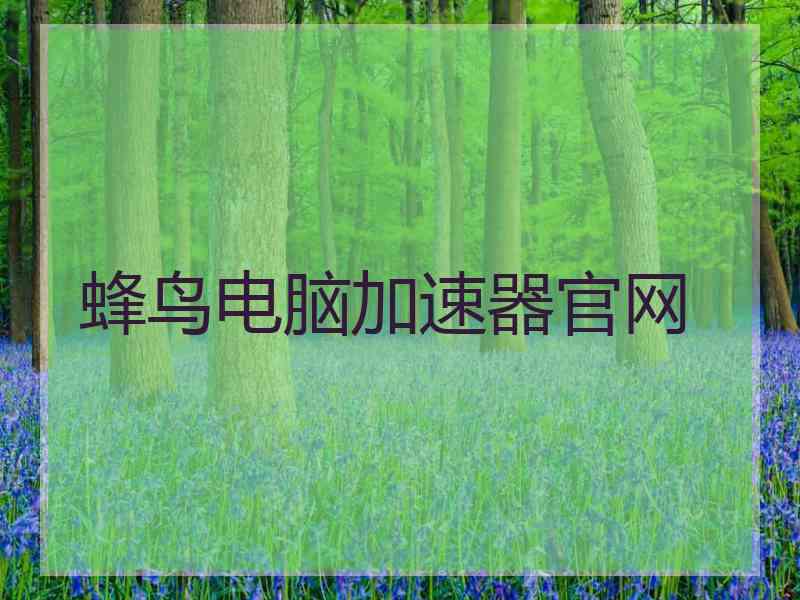 蜂鸟电脑加速器官网