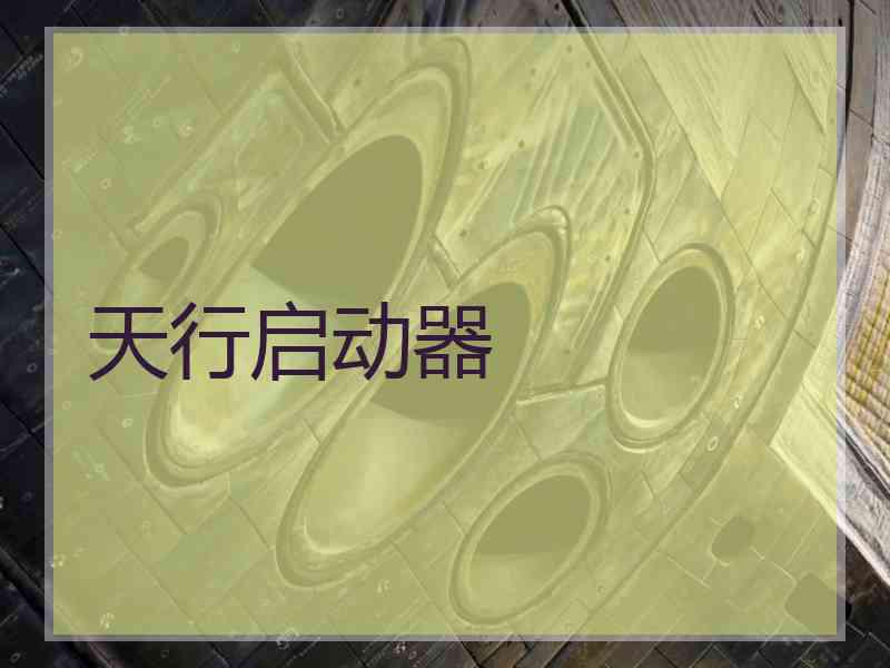 天行启动器