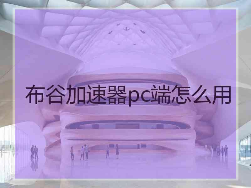布谷加速器pc端怎么用