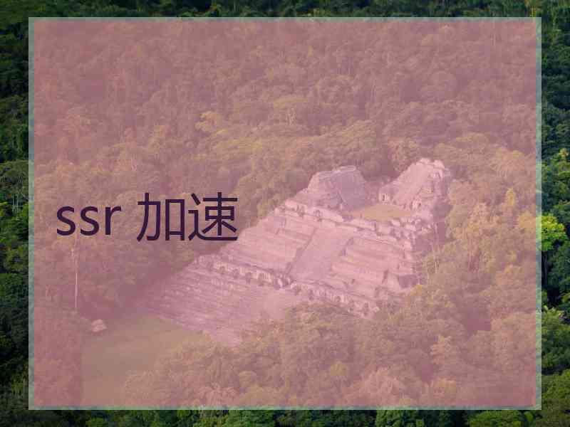 ssr 加速