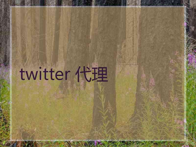 twitter 代理