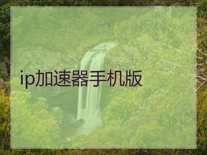 ip加速器手机版