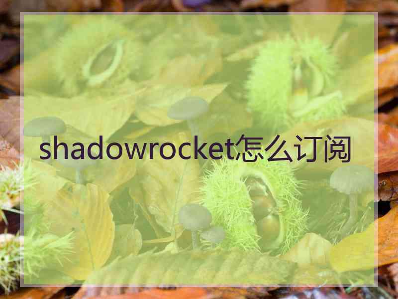 shadowrocket怎么订阅