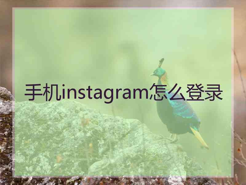 手机instagram怎么登录