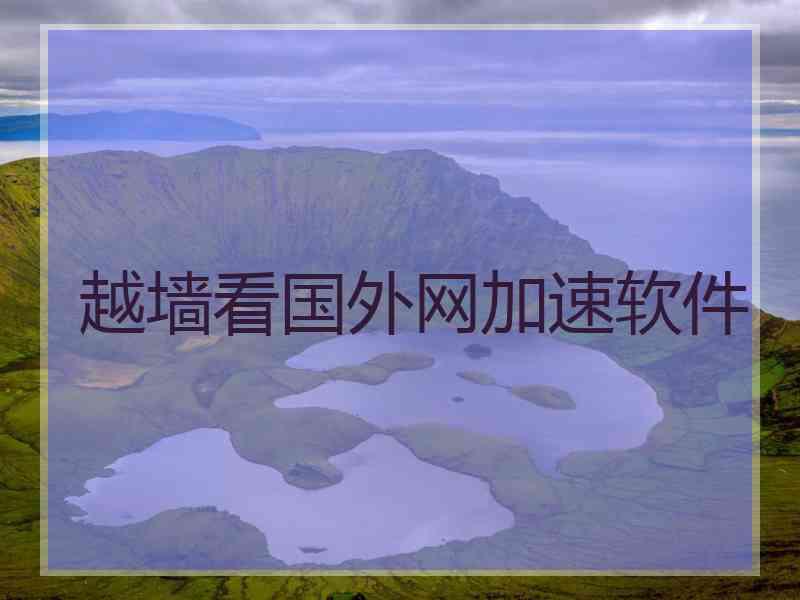 越墙看国外网加速软件
