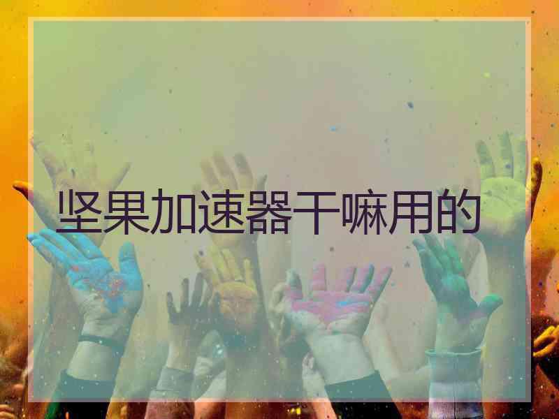 坚果加速器干嘛用的